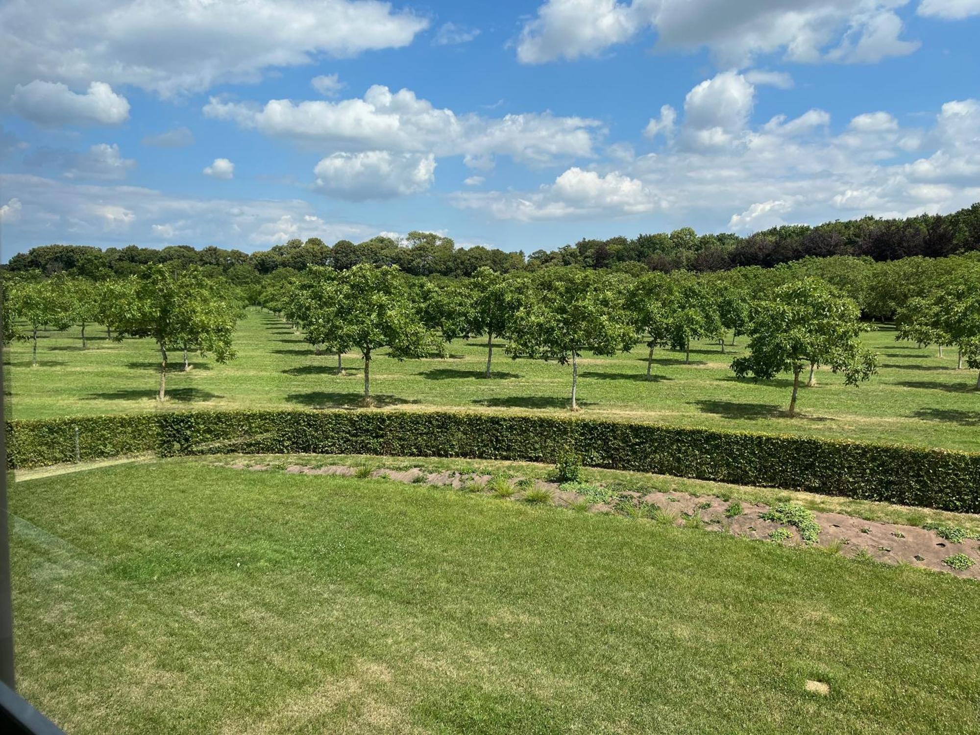 Domaine De La Noiseraie Rhisnes Exterior foto